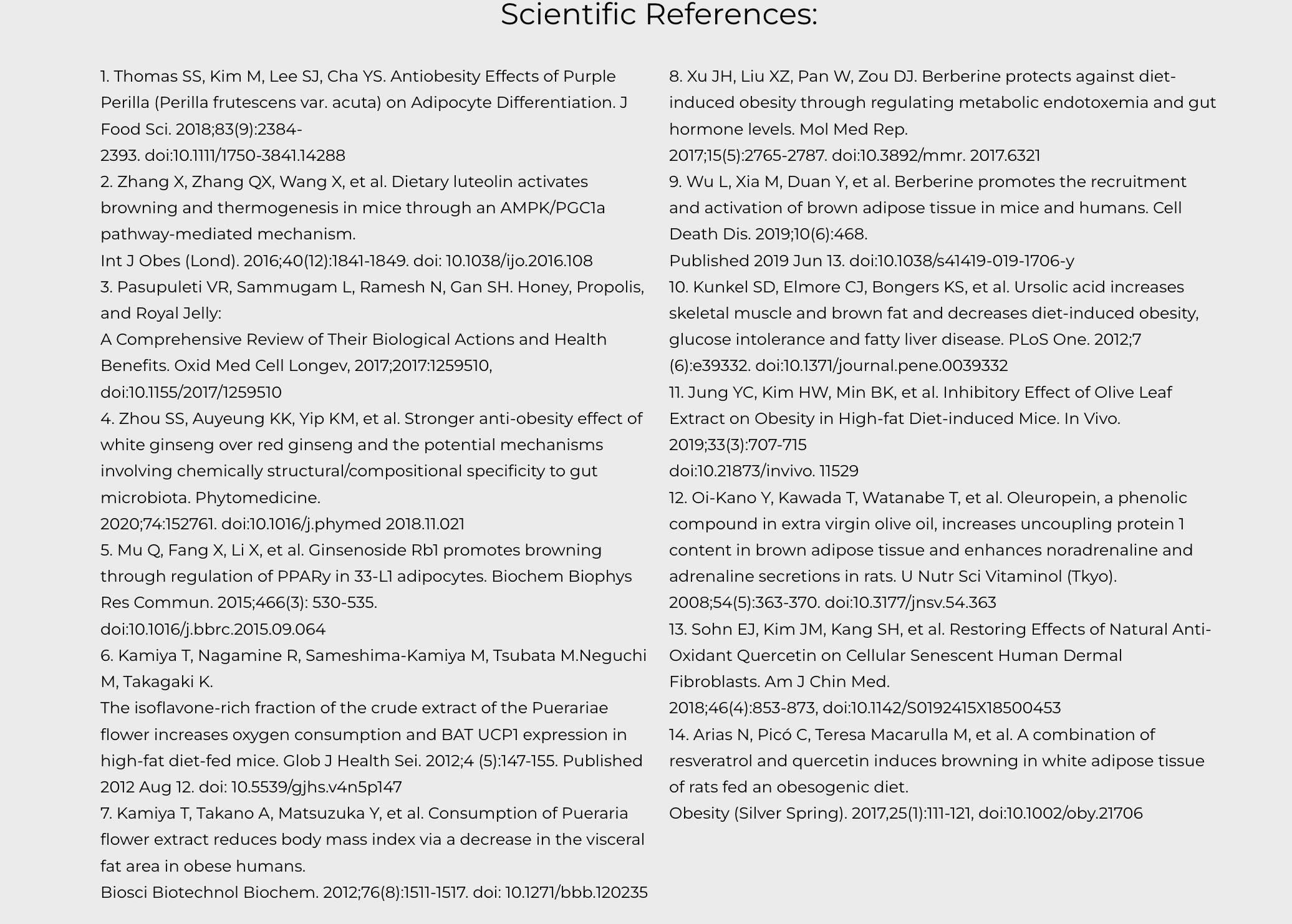 slimberine science